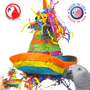 2198 Pinata Hat