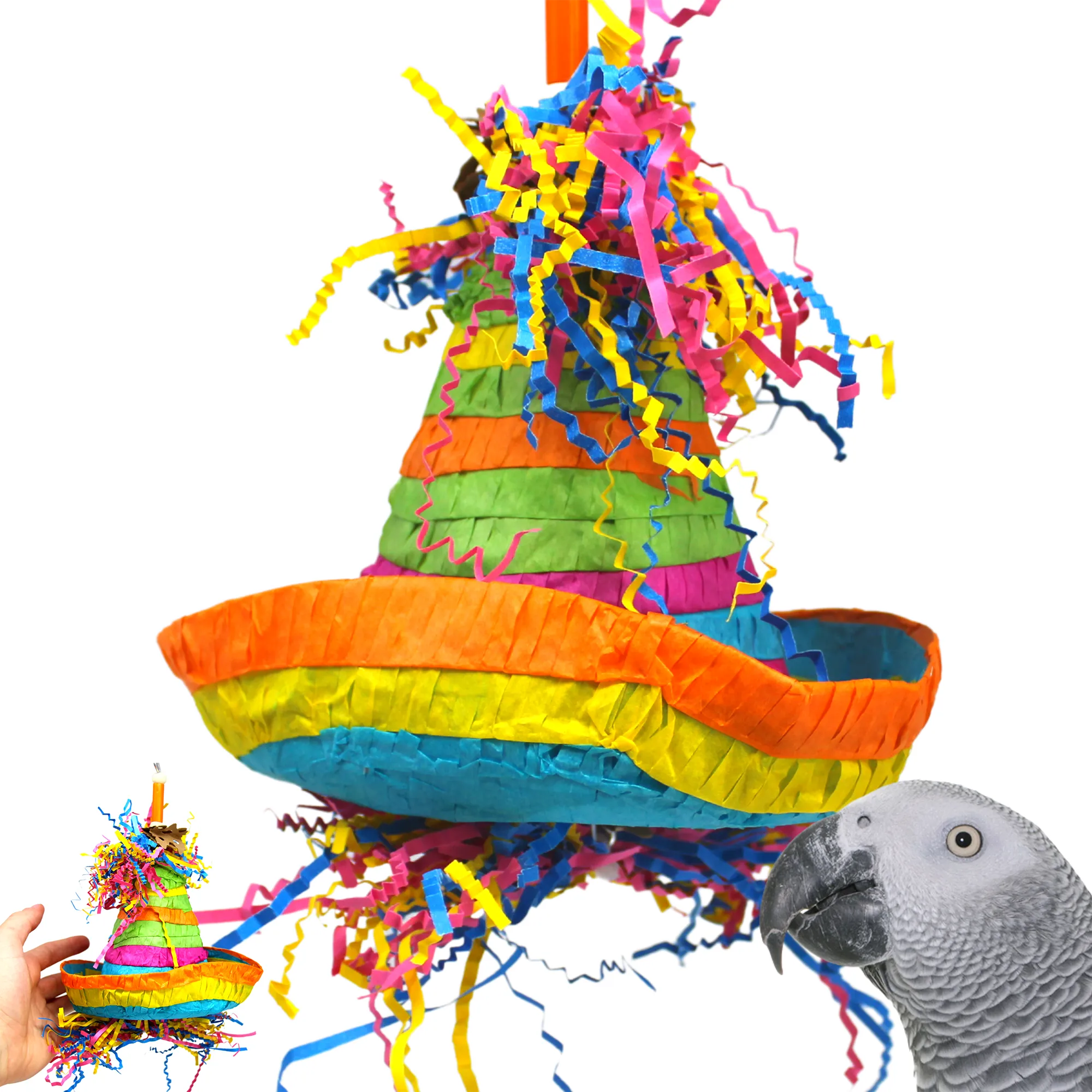 2198 Pinata Hat