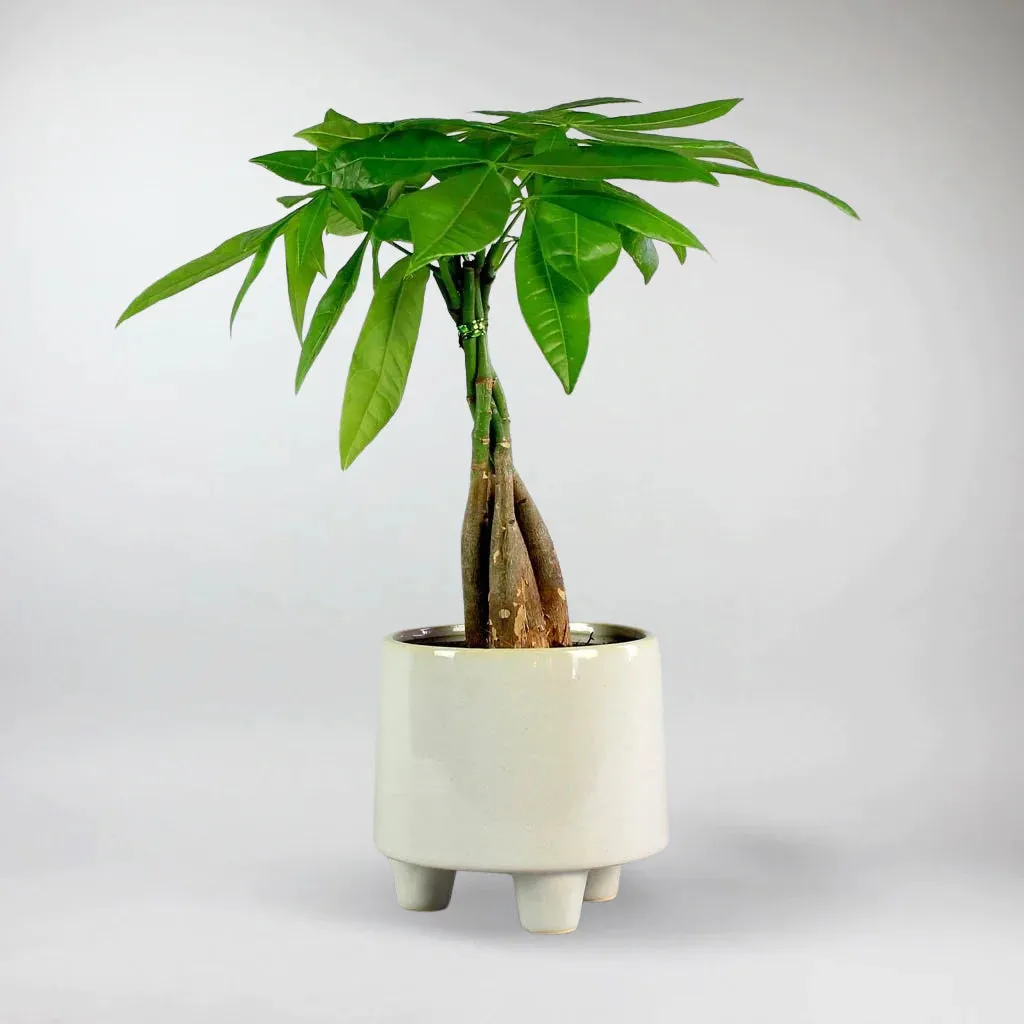 3 Legged Ceramic Pot  'Troika'