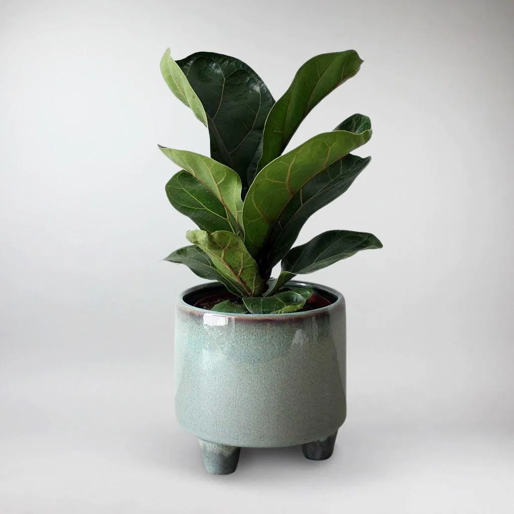 3 Legged Ceramic Pot  'Troika'