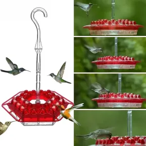 Ant-Proof Hummingbird Feeder with 30 Bee-Resistant Ports