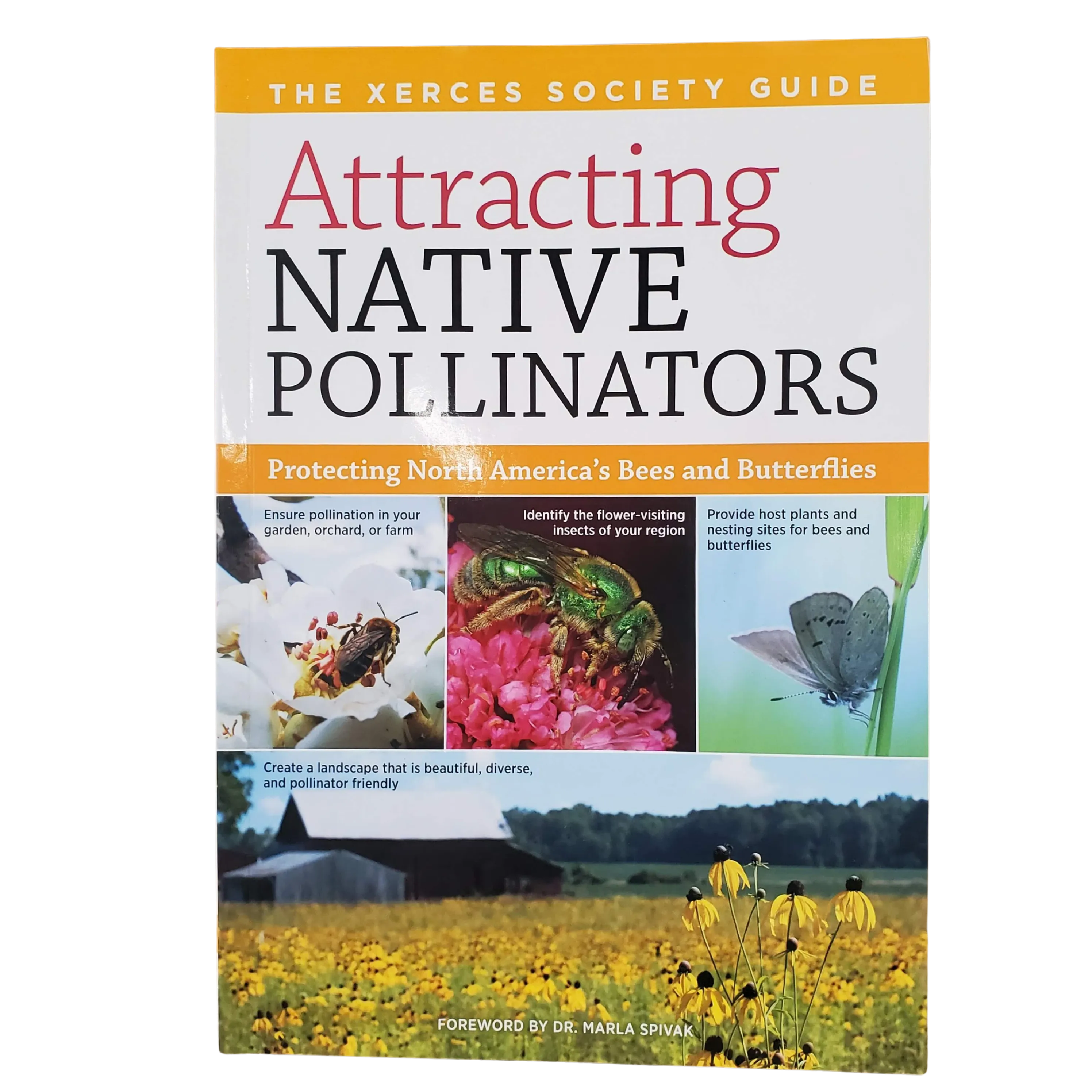 Attractive Native Pollinators