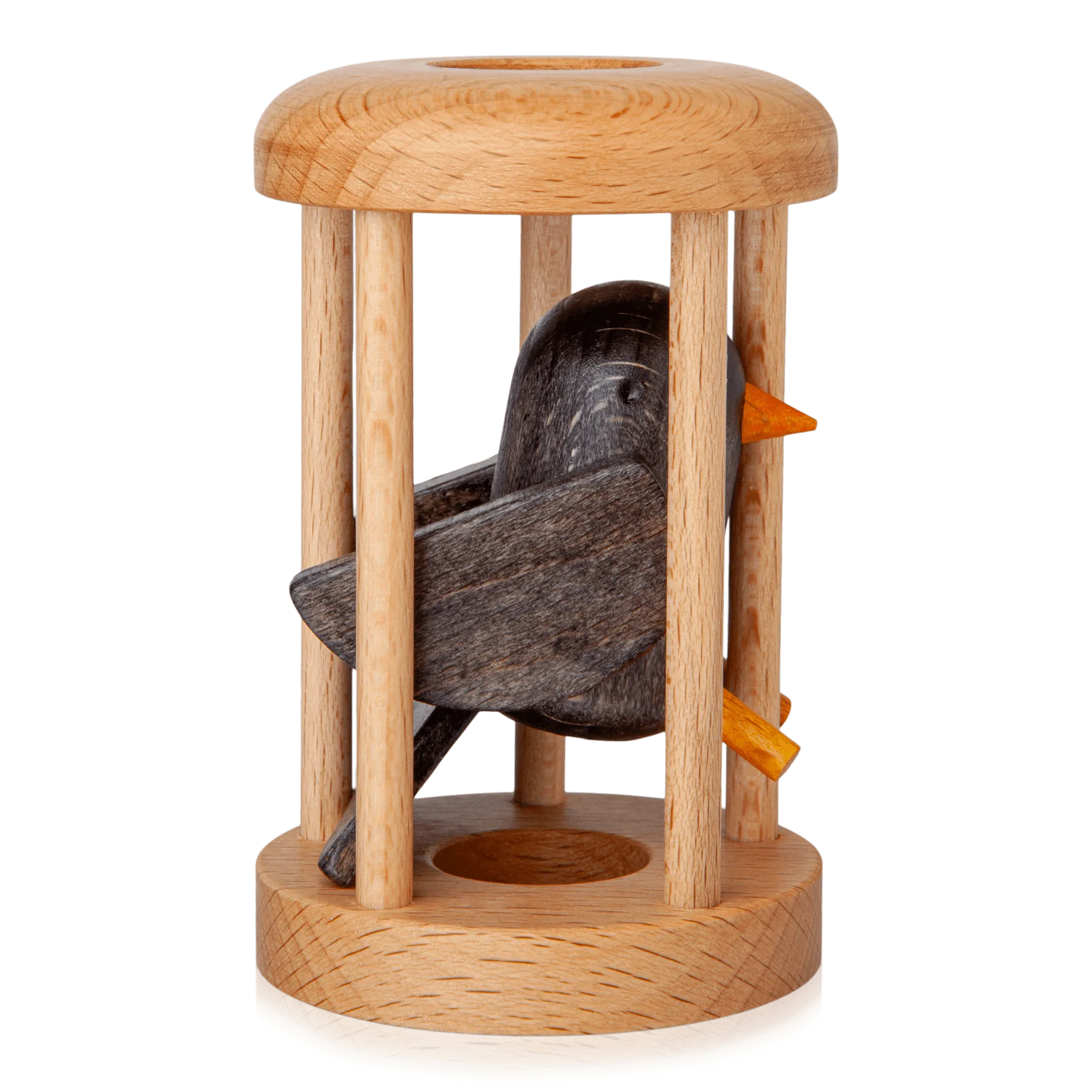Bird in Cage Puzzle