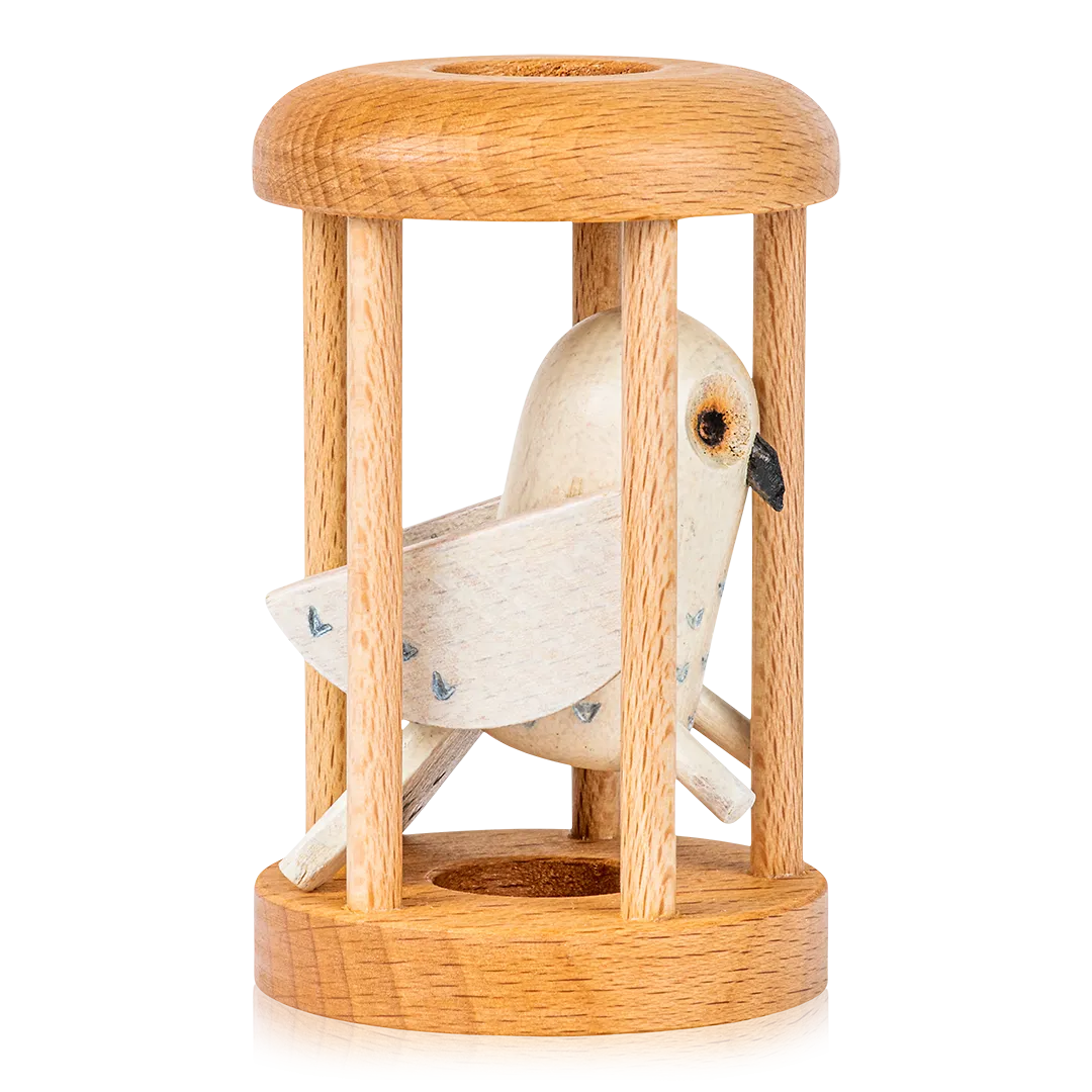 Bird in Cage Puzzle