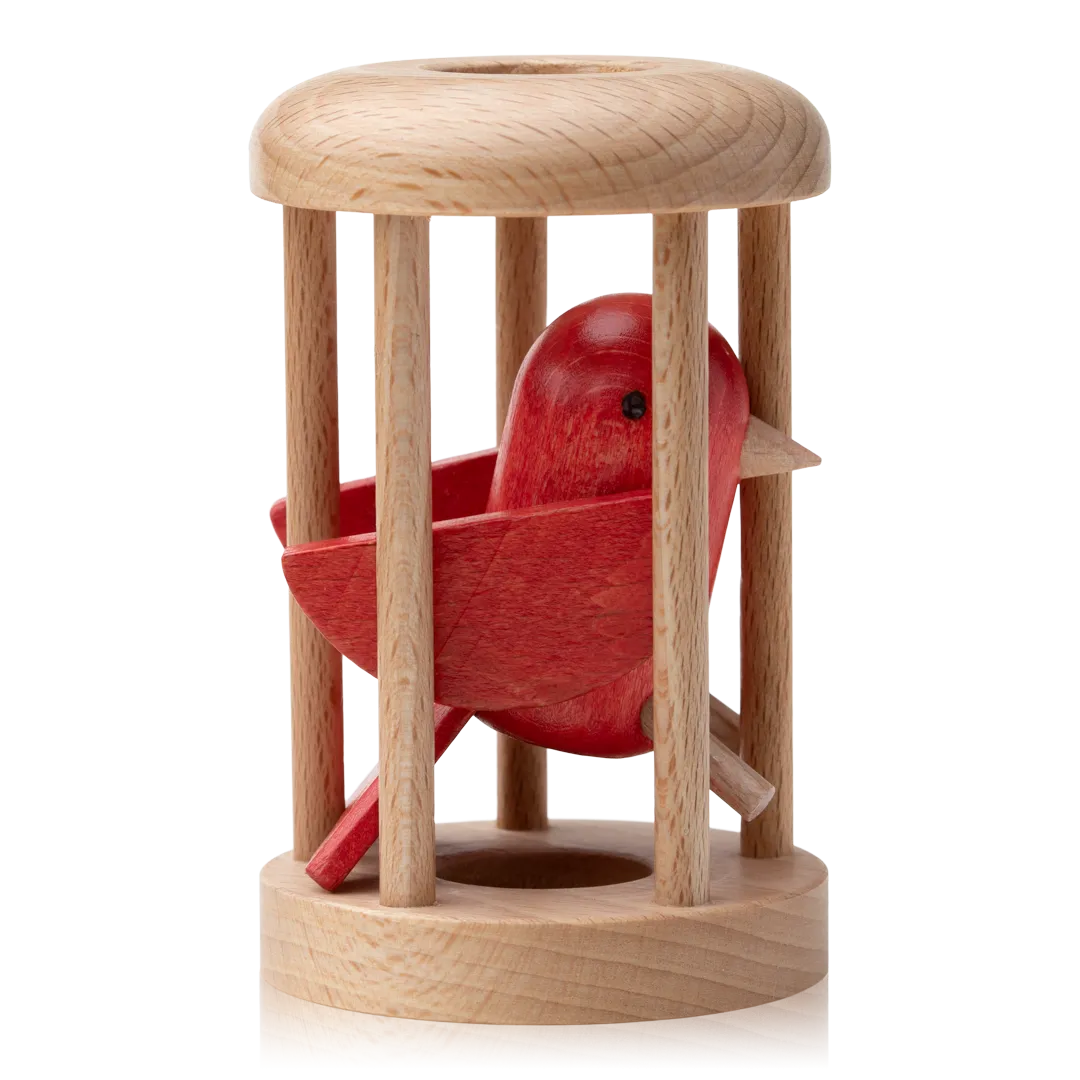 Bird in Cage Puzzle