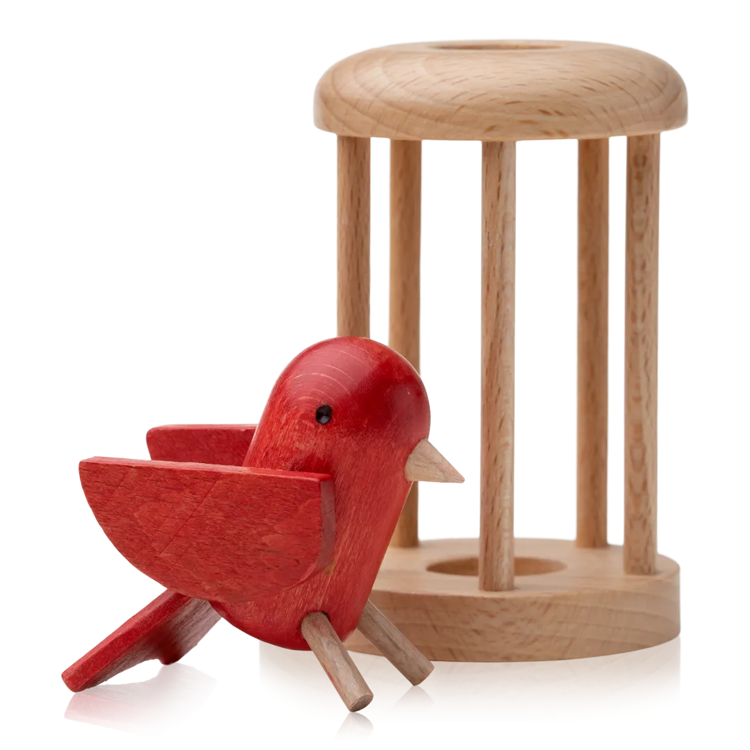 Bird in Cage Puzzle