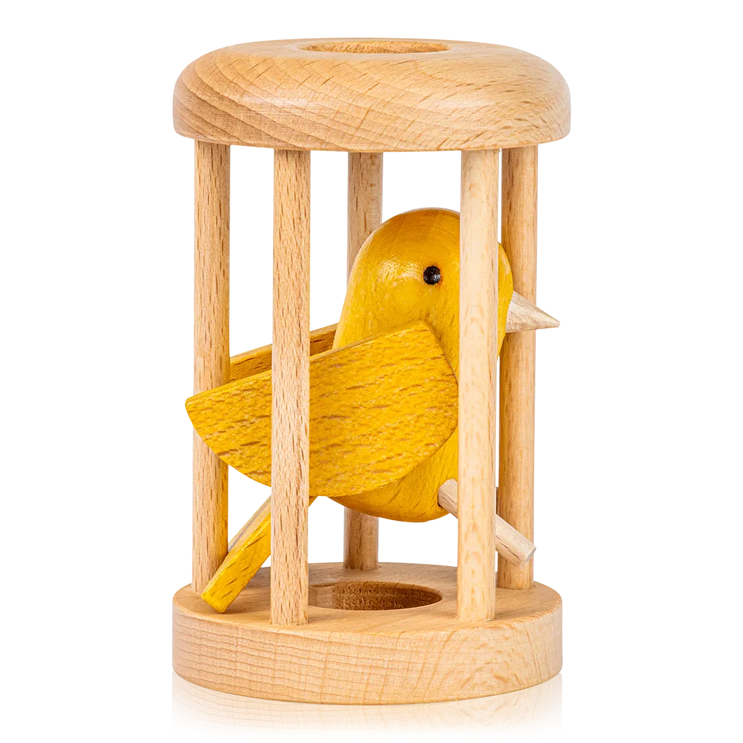 Bird in Cage Puzzle