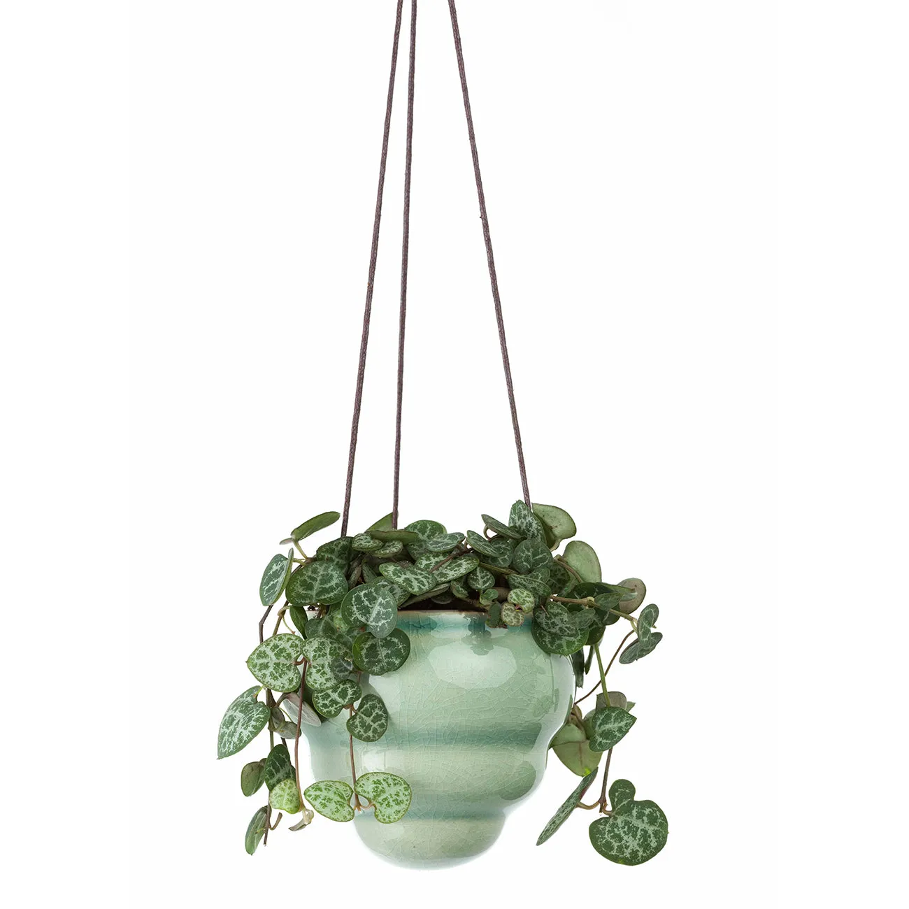 Bombini Hanging Pot Trio