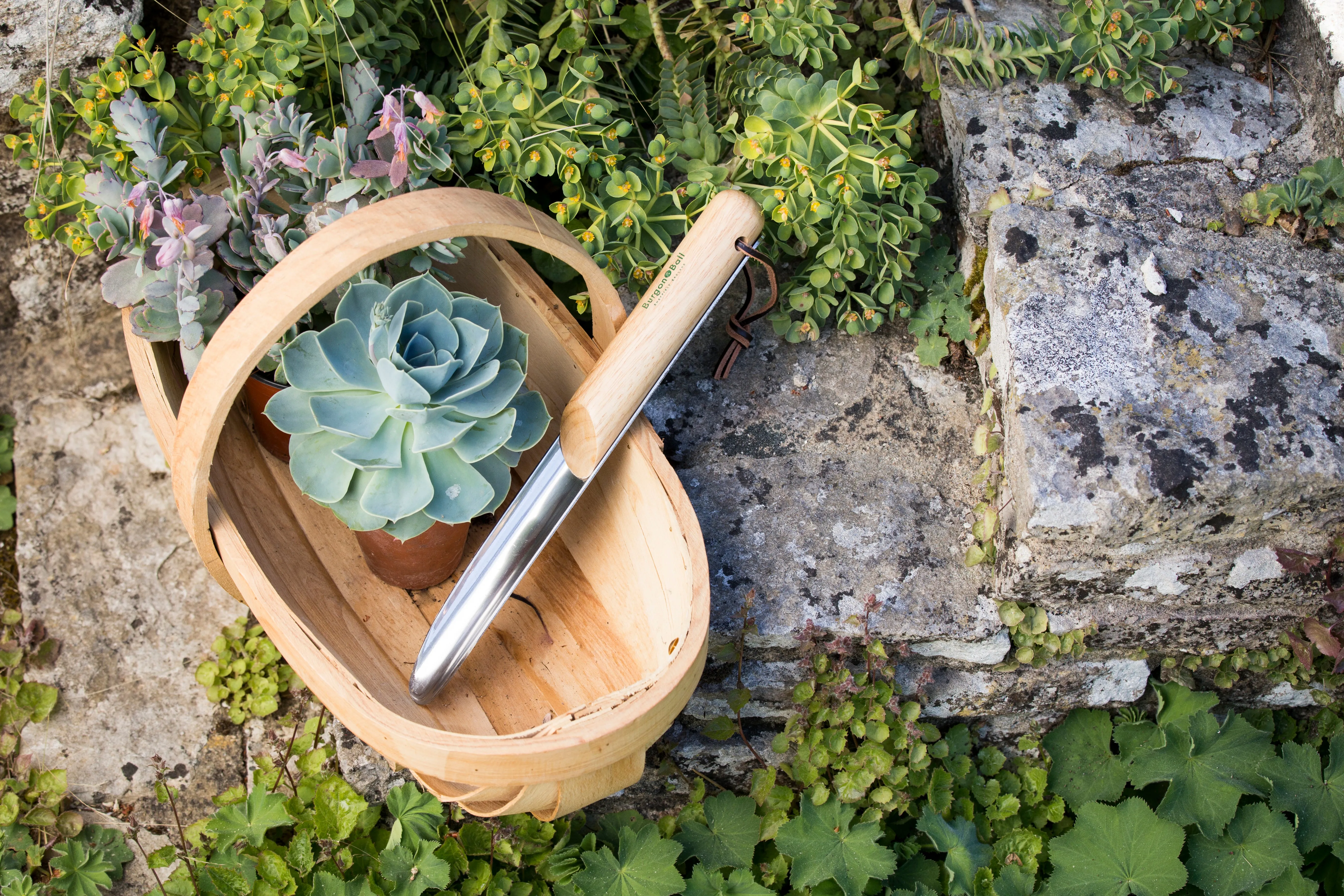 Burgon & Ball RHS Rockery Trowel