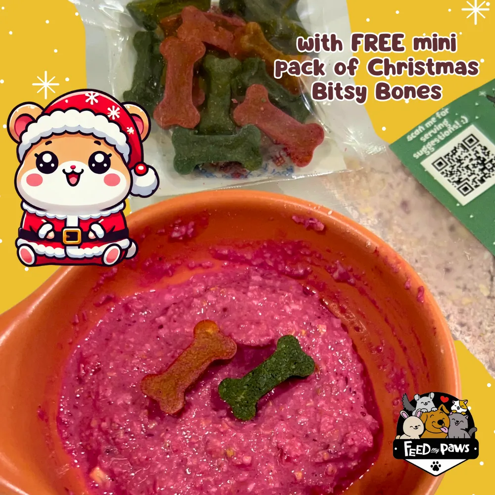 Christmas 2024: Christmas Porridge for Hamsters!