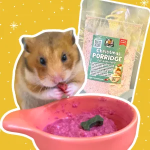 Christmas 2024: Christmas Porridge for Hamsters!