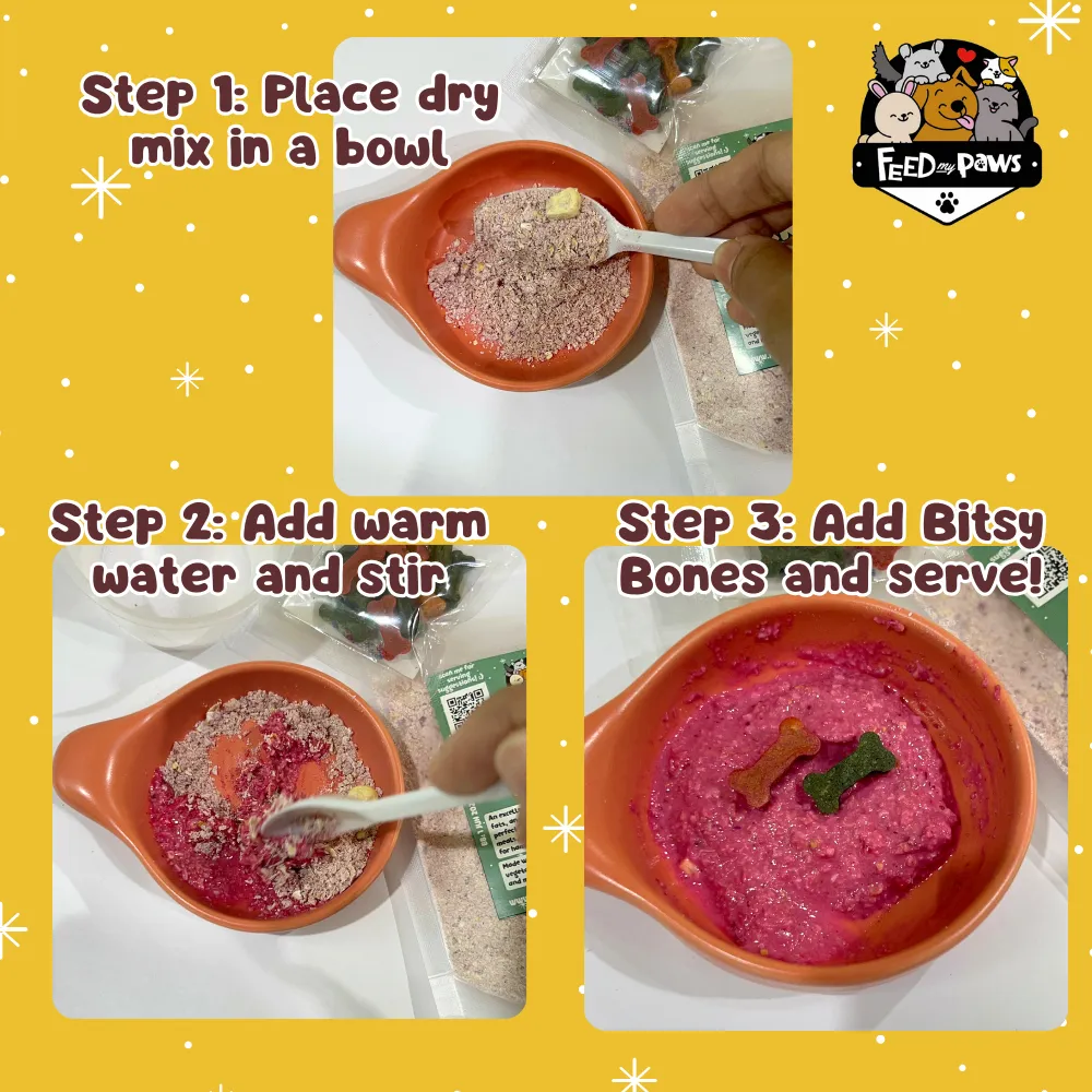 Christmas 2024: Christmas Porridge for Hamsters!