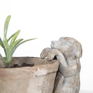 Dog Plant Pot Hanger