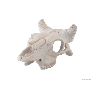 Exo Terra Buffalo Skull Small
