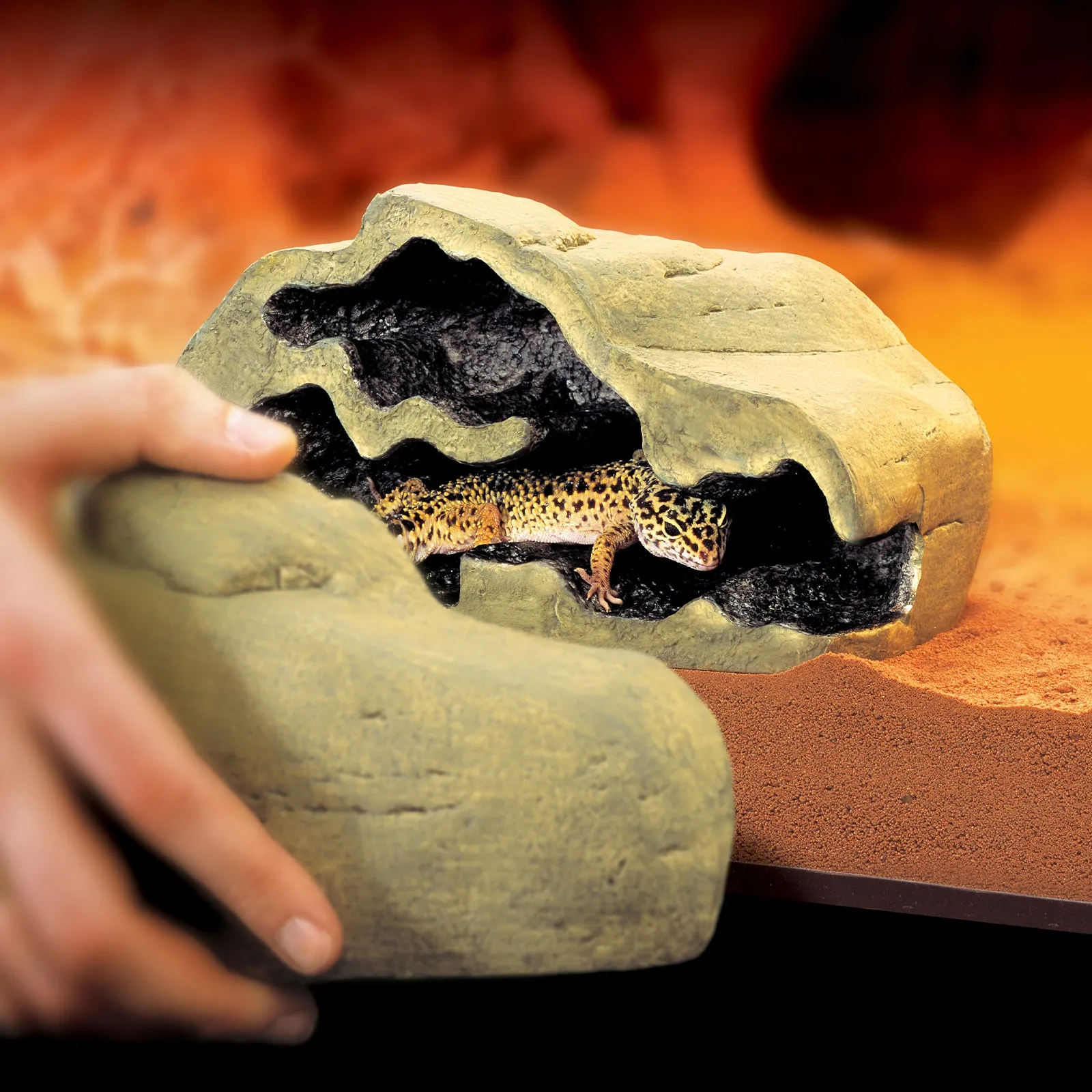 Exo Terra-Reptile Den - Small