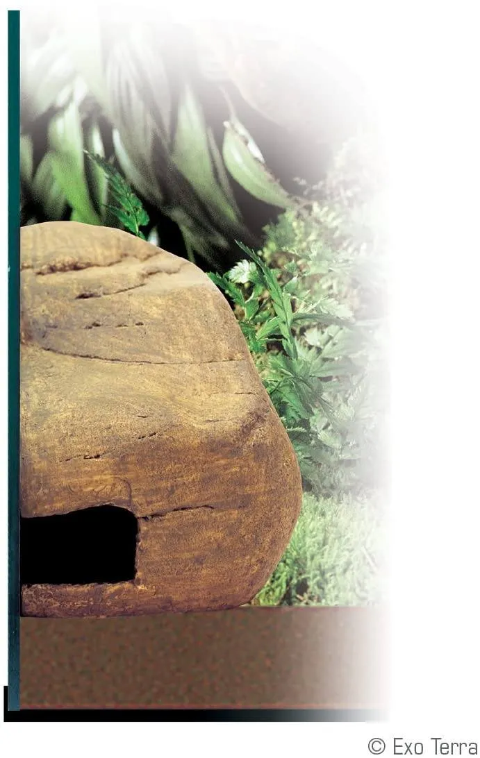Exo Terra Reptile Den Terrarium Tunnel System - Medium