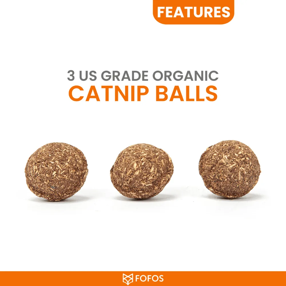 Fofos Eagle with Catnip Balls Interactive Toy and JiMMy Jolly Lemon Scented Clumping Bentonite Litter for Cats Combo