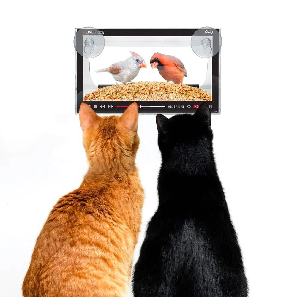 Howligans - Live Bird Feeder