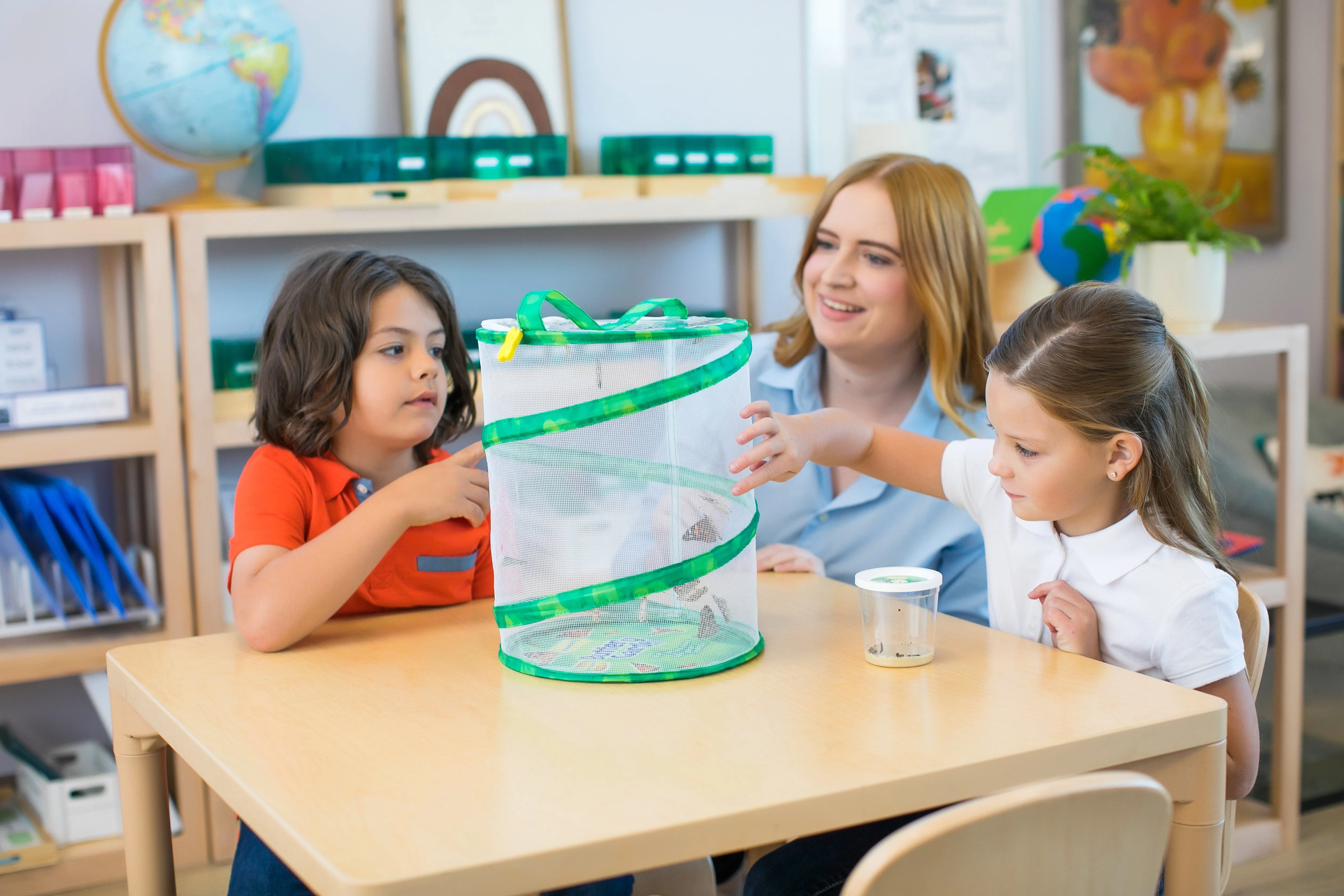 Insect Lore Butterfly Garden Kit with Two LIVE Cups of Caterpillars plus Bilingual STEM Journals and Butterfly Life Cycle Stages