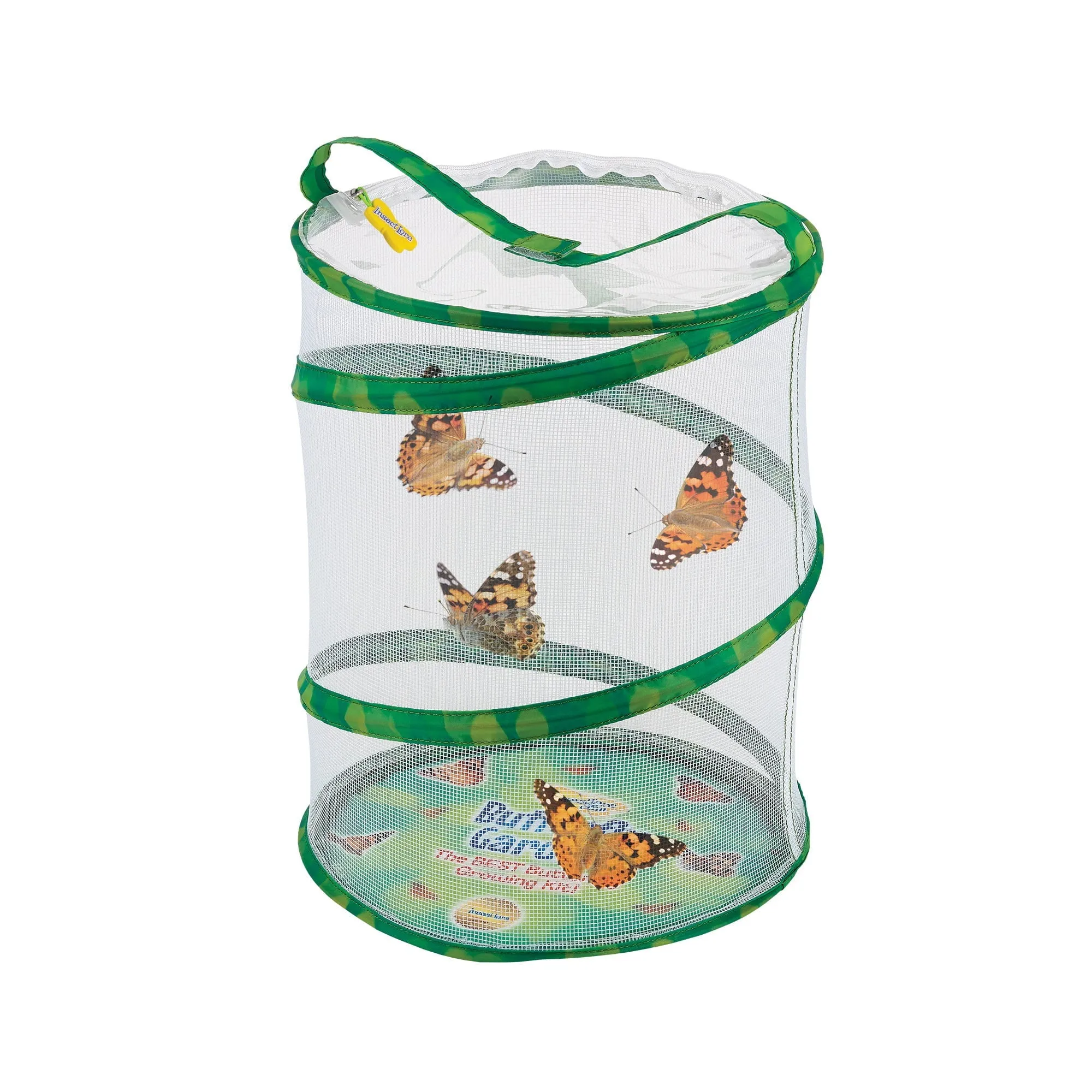 Insect Lore Butterfly Garden Kit with Two LIVE Cups of Caterpillars plus Bilingual STEM Journals and Butterfly Life Cycle Stages