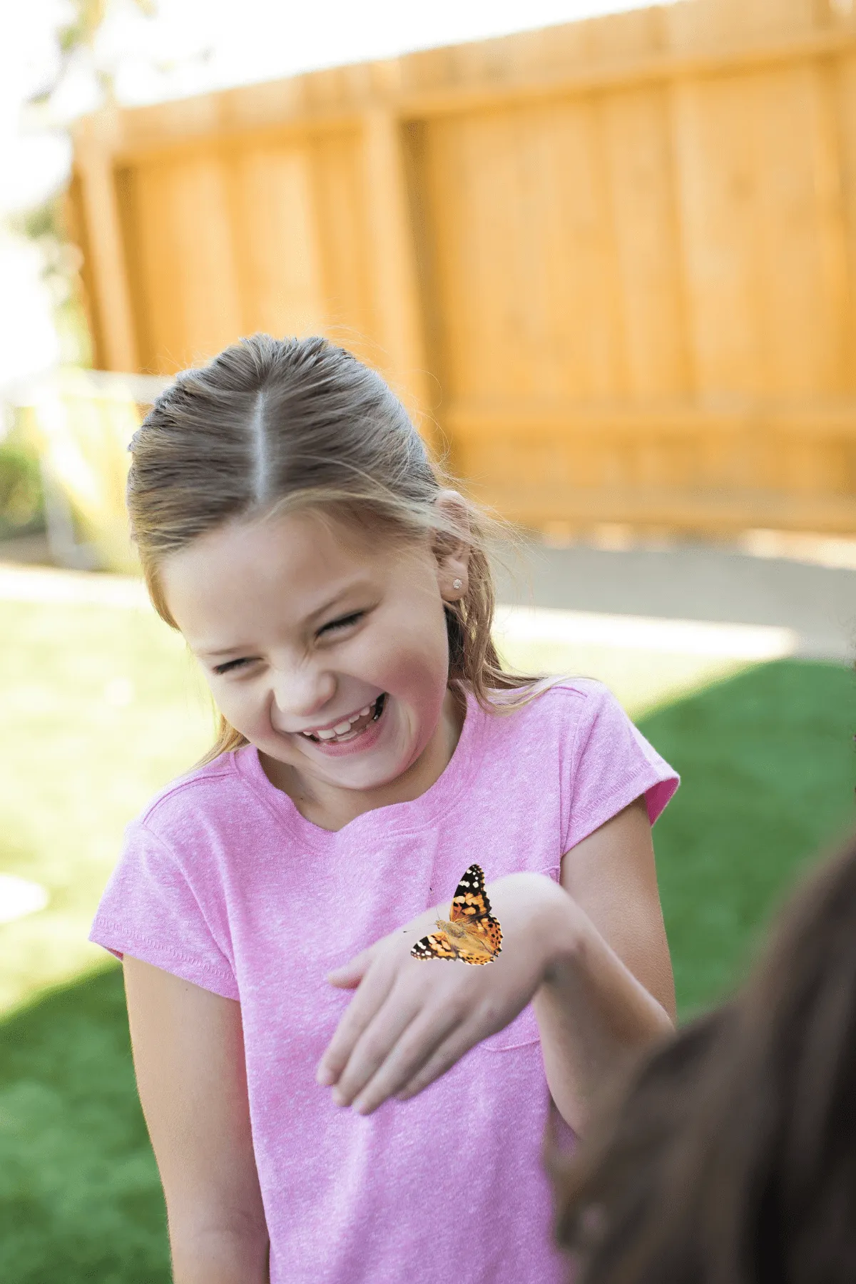 Insect Lore Butterfly Garden Kit with Two LIVE Cups of Caterpillars plus Bilingual STEM Journals and Butterfly Life Cycle Stages