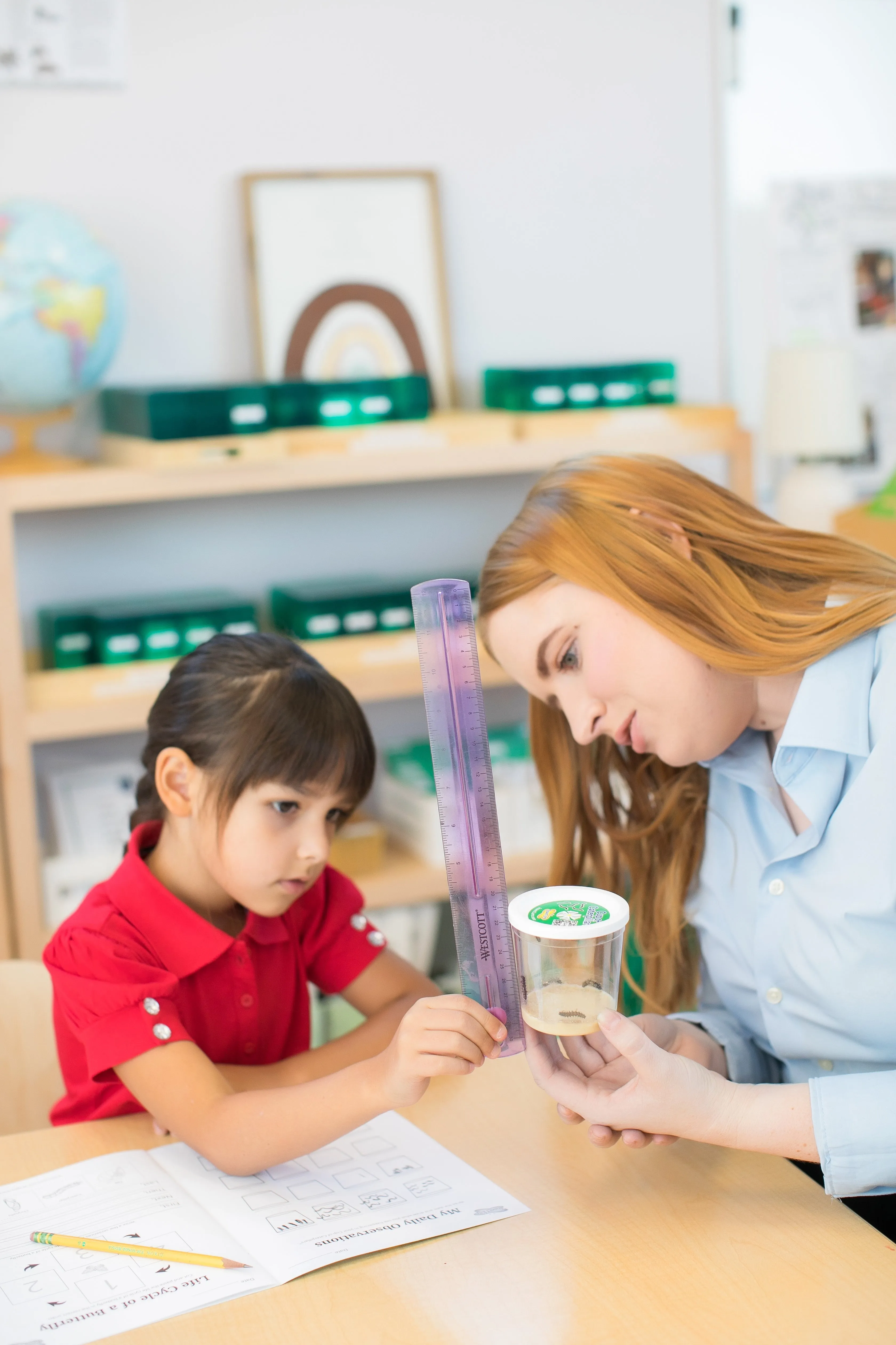 Insect Lore Butterfly Garden Kit with Two LIVE Cups of Caterpillars plus Bilingual STEM Journals and Butterfly Life Cycle Stages