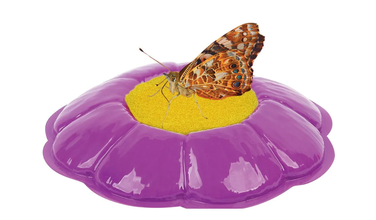 Insect Lore Butterfly Pavilion Kit with Two LIVE Cups of Caterpillars