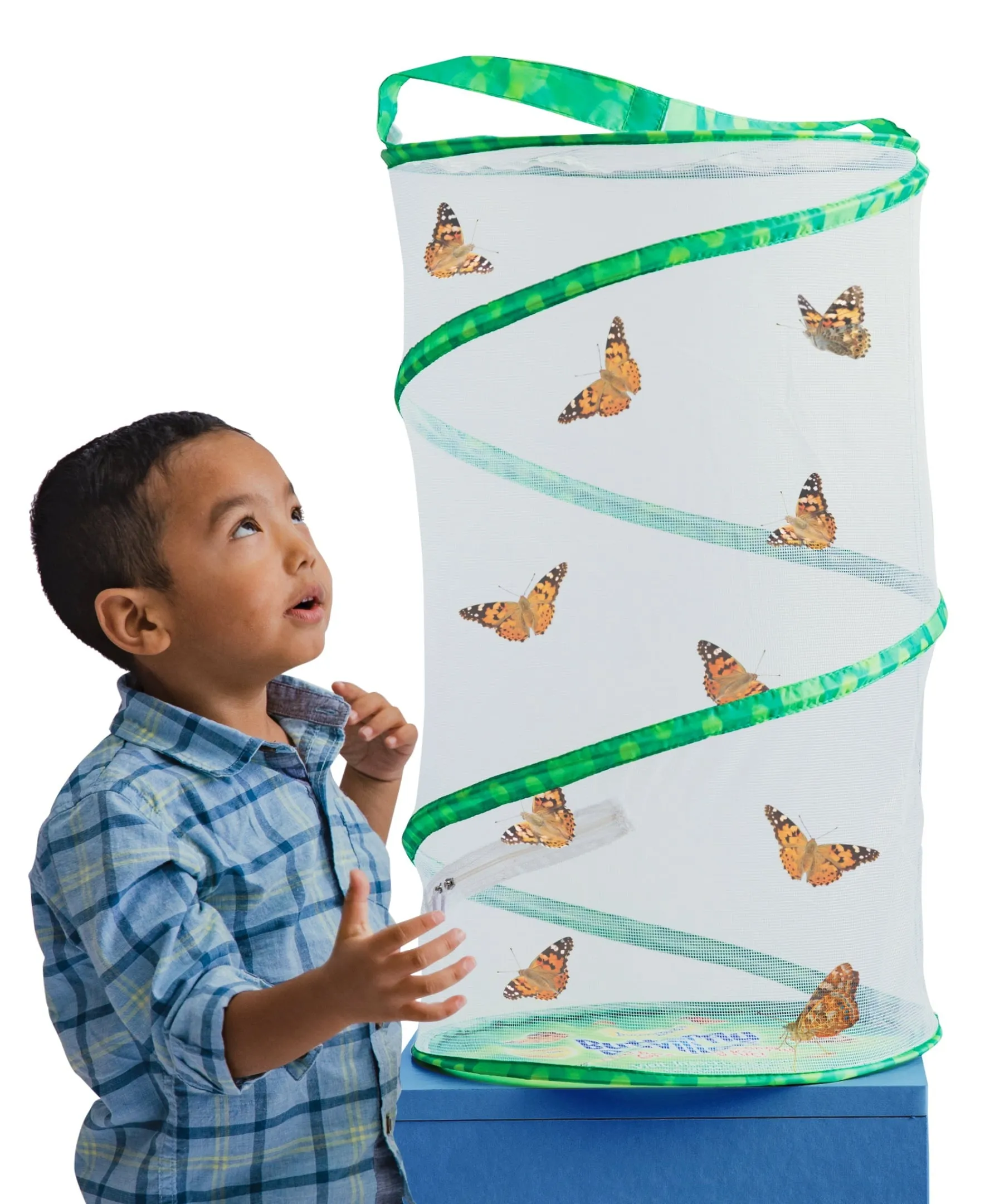 Insect Lore Butterfly Pavilion Kit with Two LIVE Cups of Caterpillars