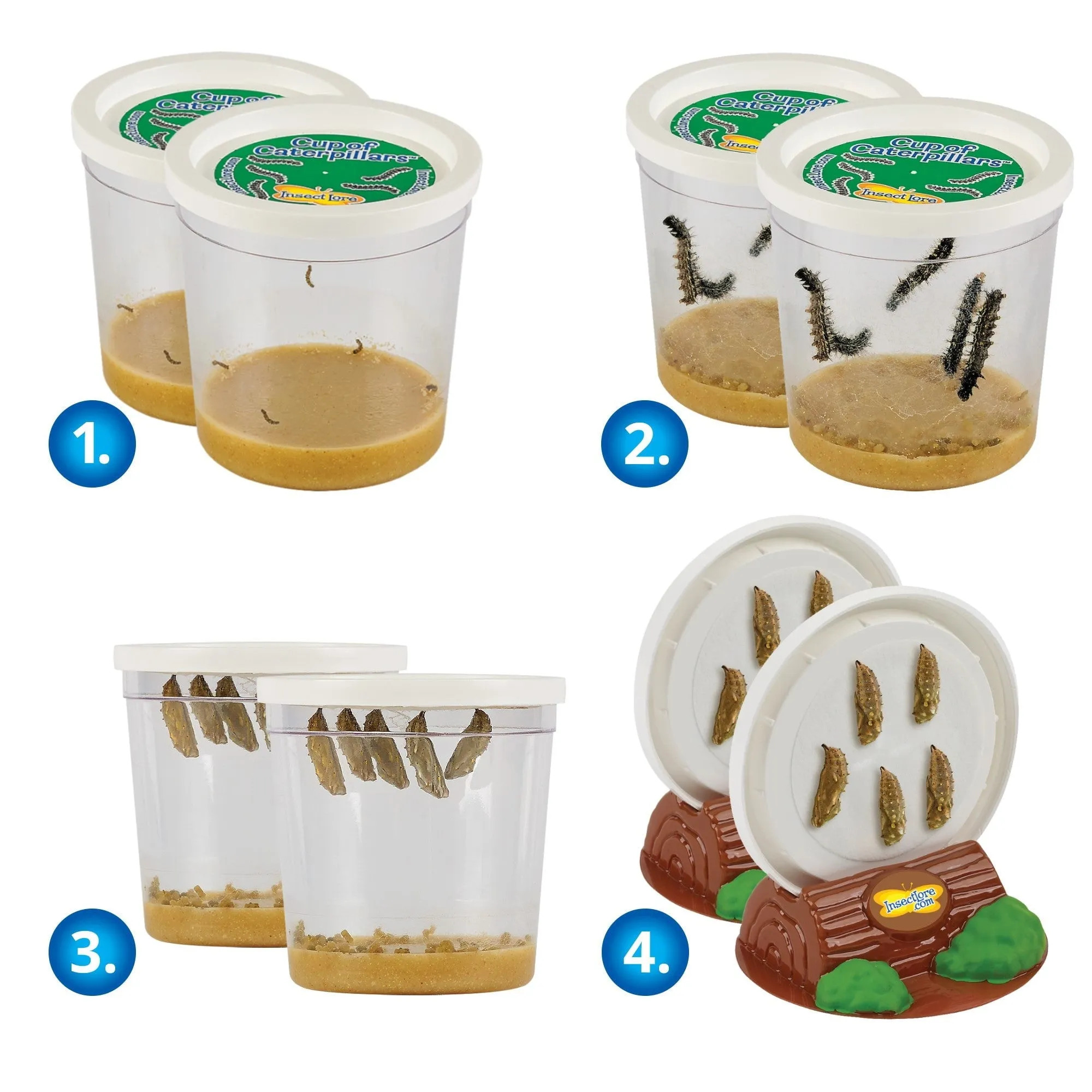 Insect Lore Butterfly Pavilion Kit with Two LIVE Cups of Caterpillars