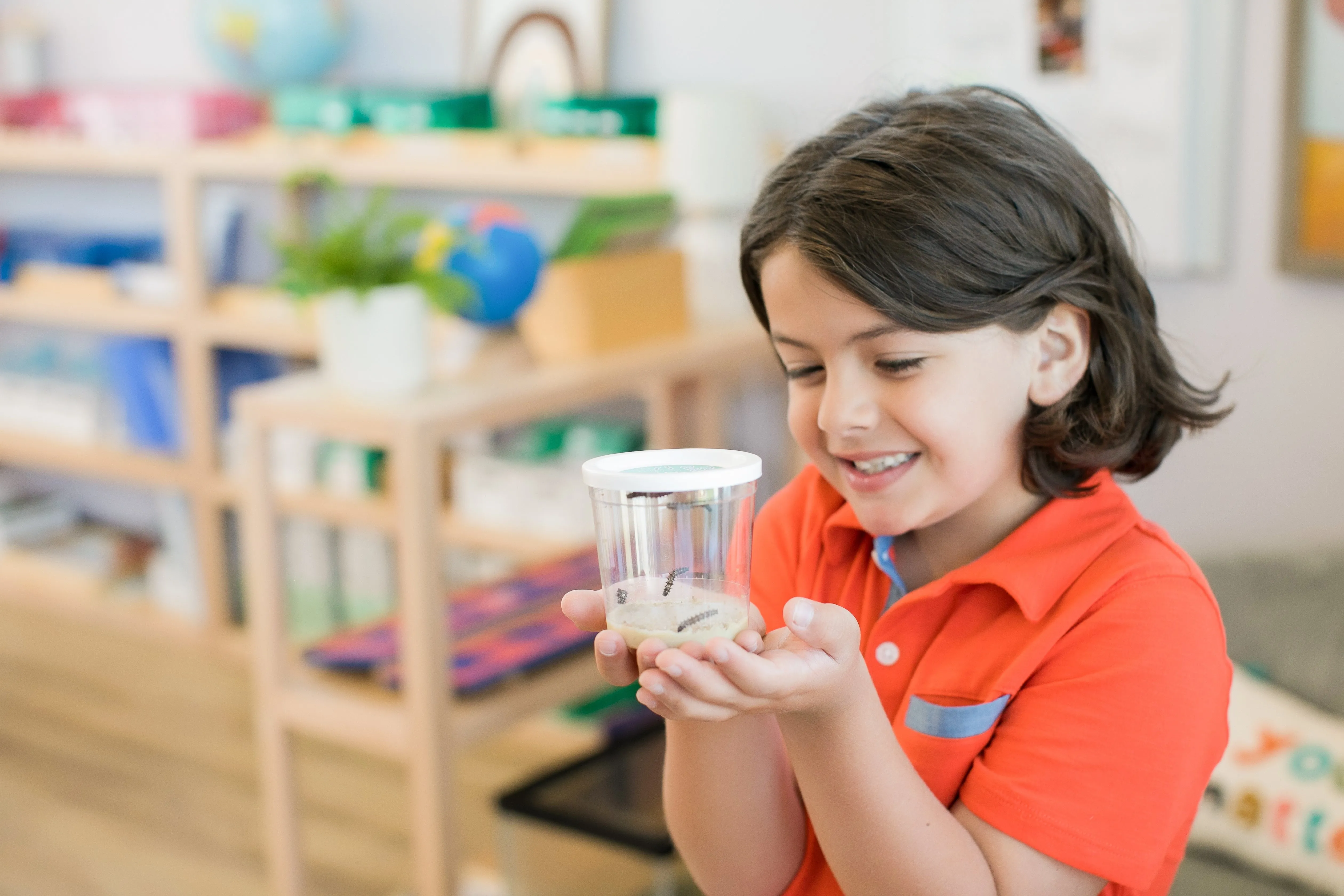 Insect Lore Butterfly Pavilion Kit with Two LIVE Cups of Caterpillars