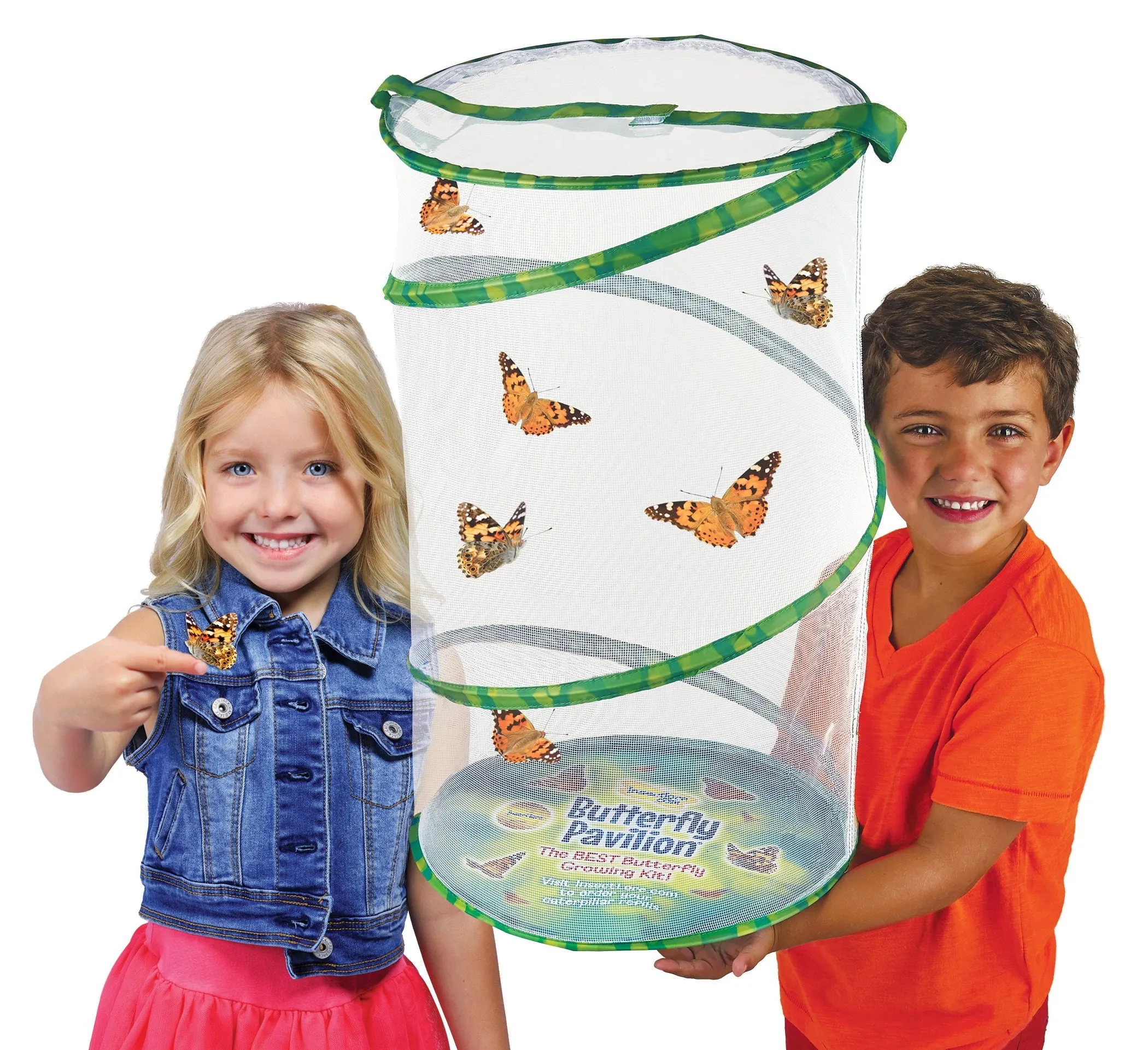 Insect Lore Butterfly Pavilion Kit with Two LIVE Cups of Caterpillars