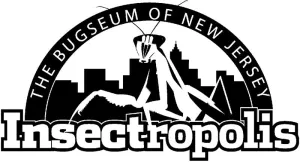 Insectropolis