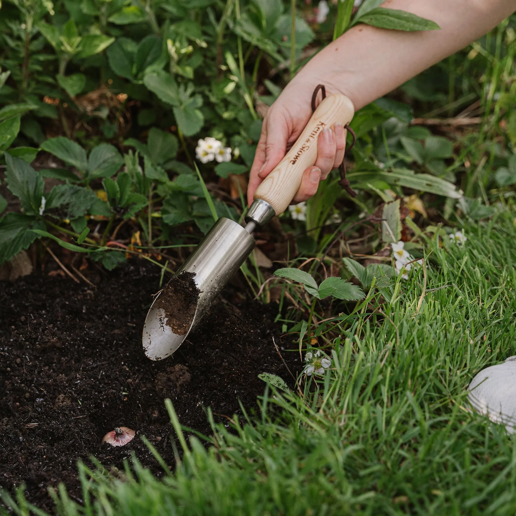 Kent & Stowe Stainless Steel Small Bulbs Planter