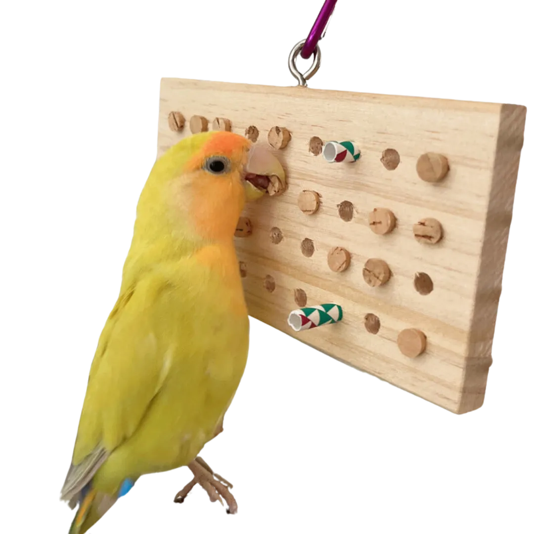 Keyboard Chewy Toy