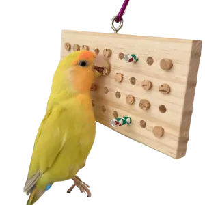 Keyboard Chewy Toy