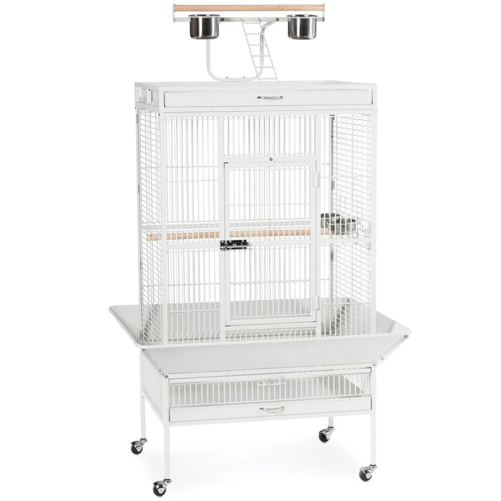 Large Wrought Iron Play Top Bird Cage - Prevue Hendryx