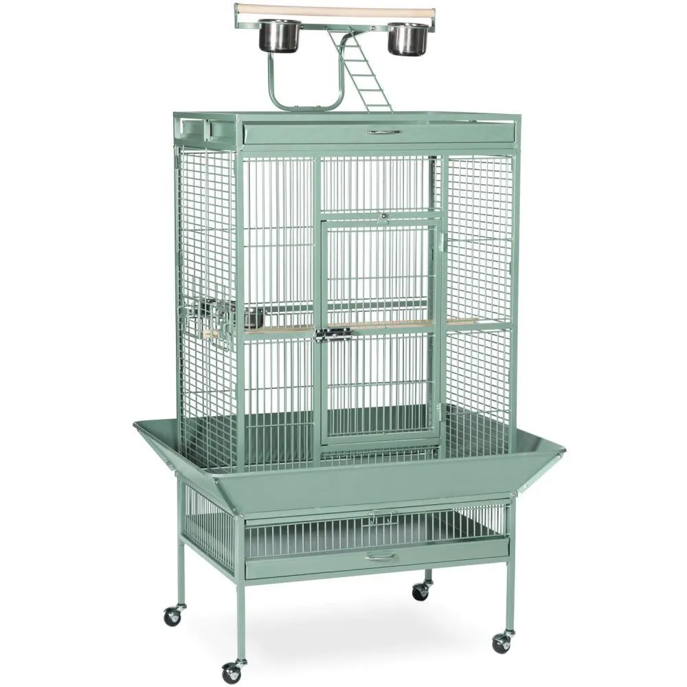 Large Wrought Iron Play Top Bird Cage - Prevue Hendryx