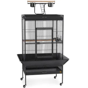 Large Wrought Iron Play Top Bird Cage - Prevue Hendryx