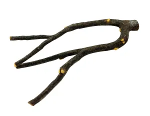 Living World - Natures Perch (43cm)
