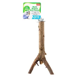 Multi-Branch Bird Perch