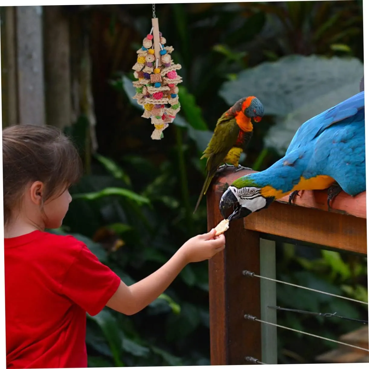 NEW Mipcase 1pc Parrot Chew Toy Wooden Decor Wood Toys Large Bird Cage Parakeet Chew Toys Wood Bird Toy Bird Toys for Conures Bird Toys for Parakeets Funny Parakeet Toy Bird Accessory Birds