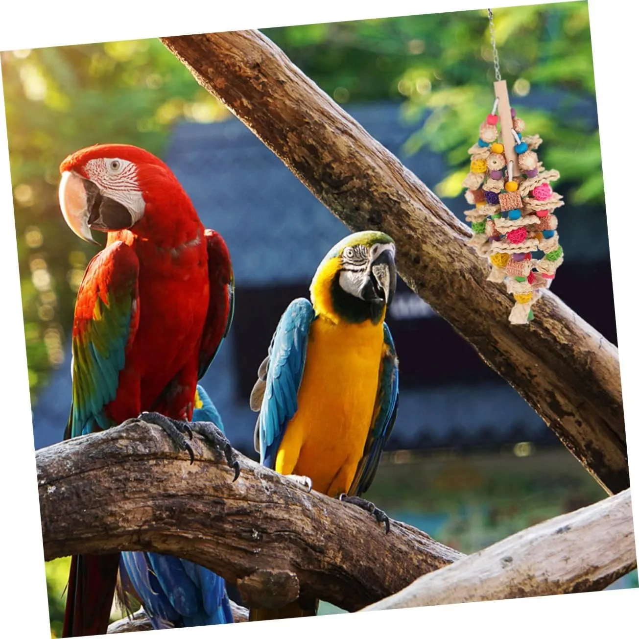 NEW Mipcase 1pc Parrot Chew Toy Wooden Decor Wood Toys Large Bird Cage Parakeet Chew Toys Wood Bird Toy Bird Toys for Conures Bird Toys for Parakeets Funny Parakeet Toy Bird Accessory Birds
