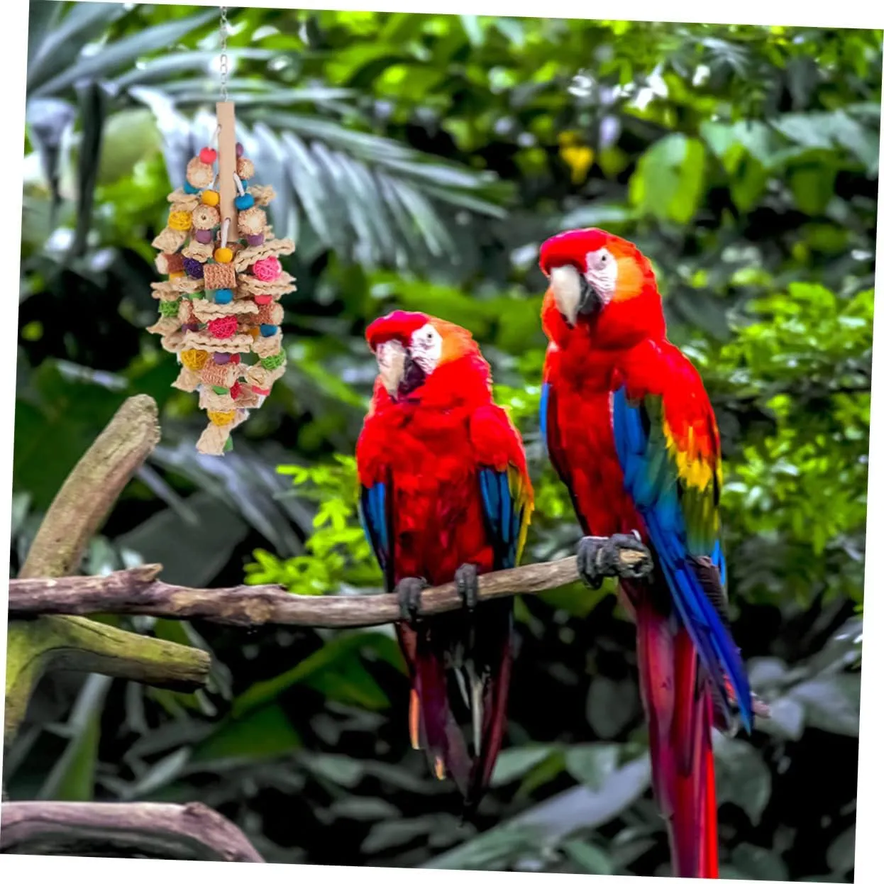 NEW Mipcase 1pc Parrot Chew Toy Wooden Decor Wood Toys Large Bird Cage Parakeet Chew Toys Wood Bird Toy Bird Toys for Conures Bird Toys for Parakeets Funny Parakeet Toy Bird Accessory Birds