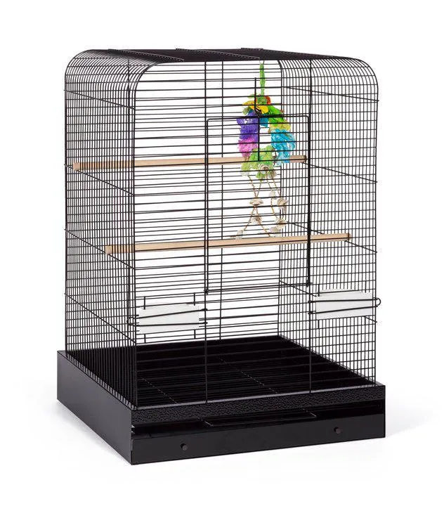 Parakeet, Cockatiel, Conure Bird Cage - Madison Bird Cage - 20" L x 20" W x 29" H - Prevue Hendryx