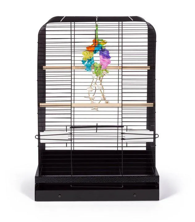 Parakeet, Cockatiel, Conure Bird Cage - Madison Bird Cage - 20" L x 20" W x 29" H - Prevue Hendryx