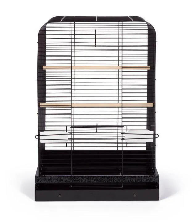 Parakeet, Cockatiel, Conure Bird Cage - Madison Bird Cage - 20" L x 20" W x 29" H - Prevue Hendryx