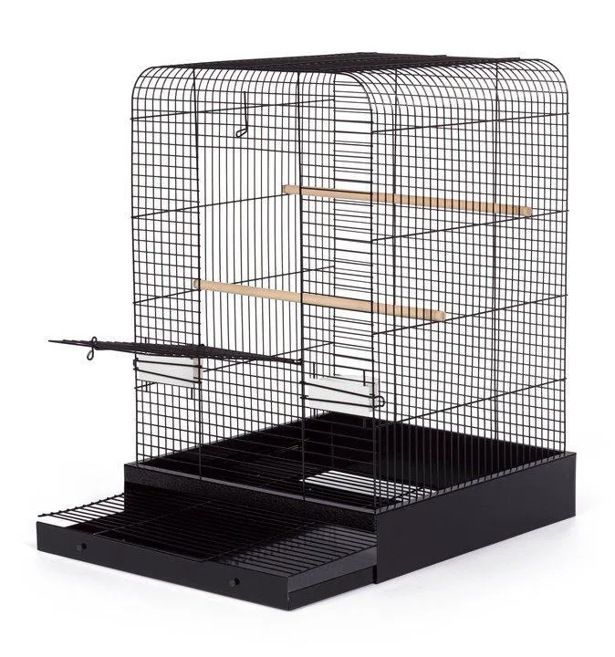 Parakeet, Cockatiel, Conure Bird Cage - Madison Bird Cage - 20" L x 20" W x 29" H - Prevue Hendryx