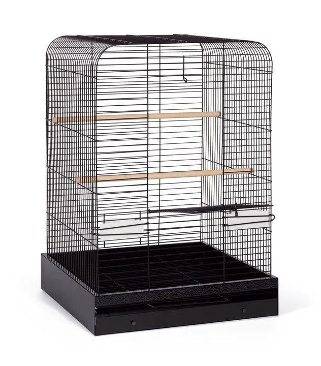 Parakeet, Cockatiel, Conure Bird Cage - Madison Bird Cage - 20" L x 20" W x 29" H - Prevue Hendryx