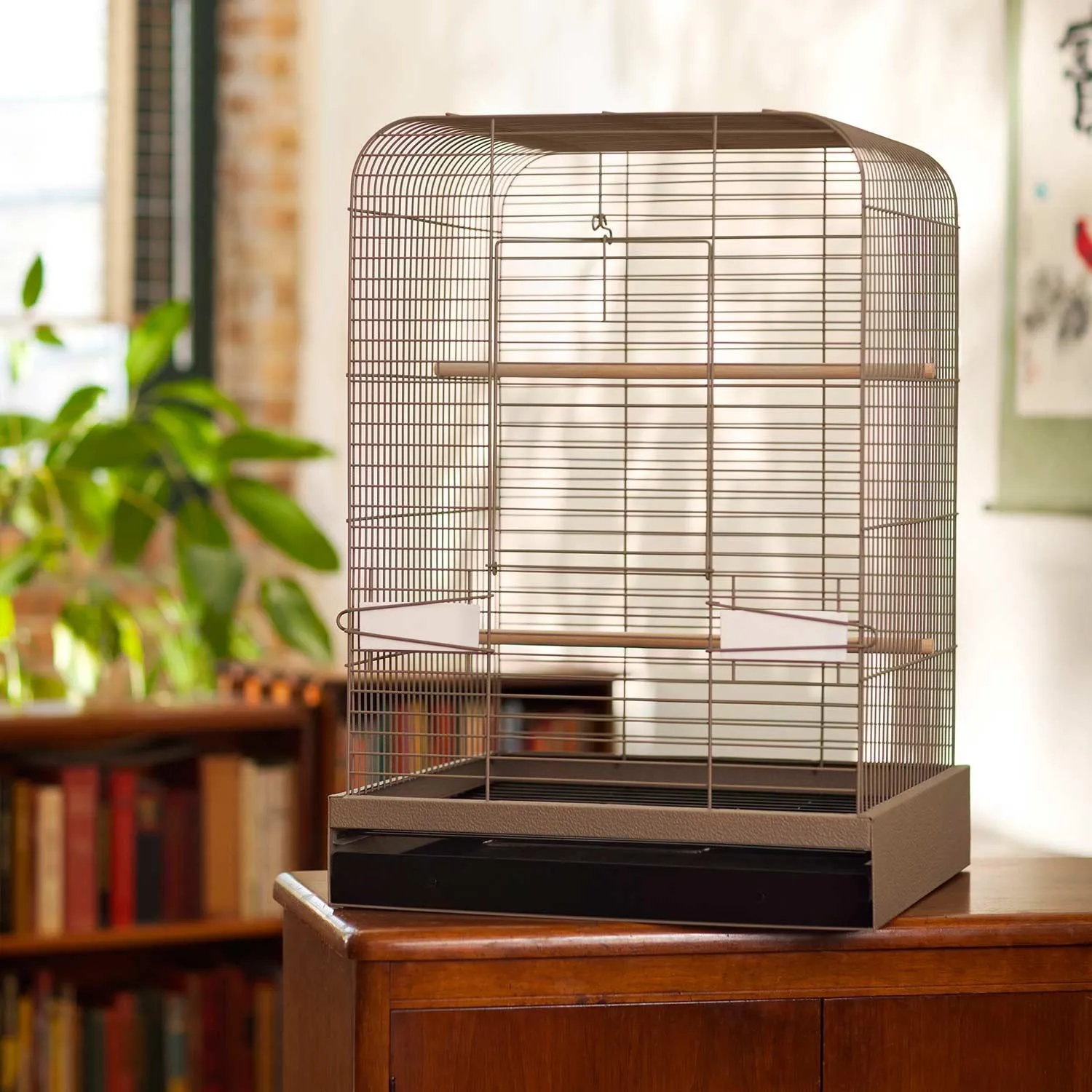 Parakeet, Cockatiel, Conure Bird Cage - Madison Bird Cage - 20" L x 20" W x 29" H - Prevue Hendryx