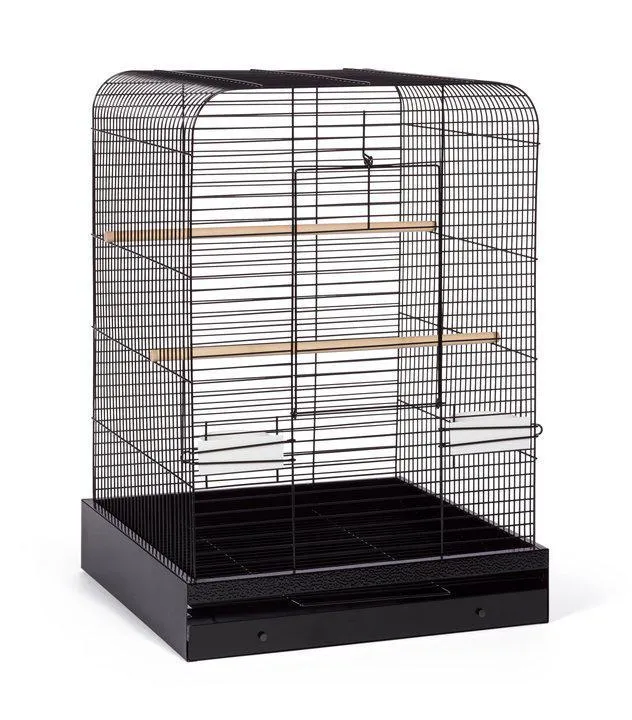 Parakeet, Cockatiel, Conure Bird Cage - Madison Bird Cage - 20" L x 20" W x 29" H - Prevue Hendryx